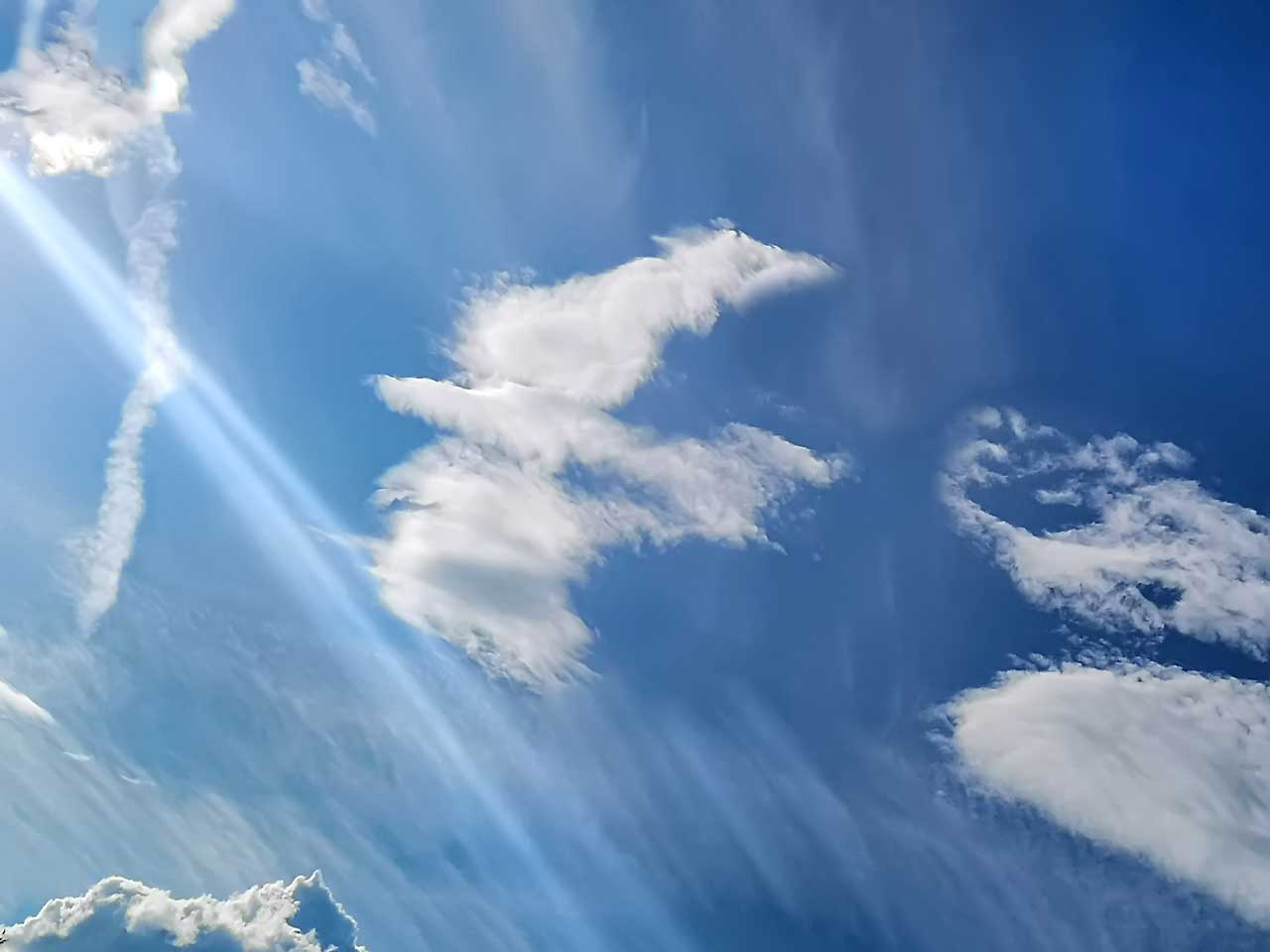 Eine Wolke in Form einer weißen Taube gegen einen blauen Himmel