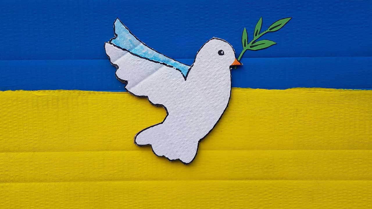 Ein Pappplakat, angemalt in den Farben der ukrainischen Flagge (oben blau, unten gelb) und darauf eine weiße Taube mit Ölzweig