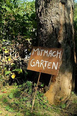 Im Mitmachgarten gemeinschaftlich gegen die Klimakrise gärtnern.