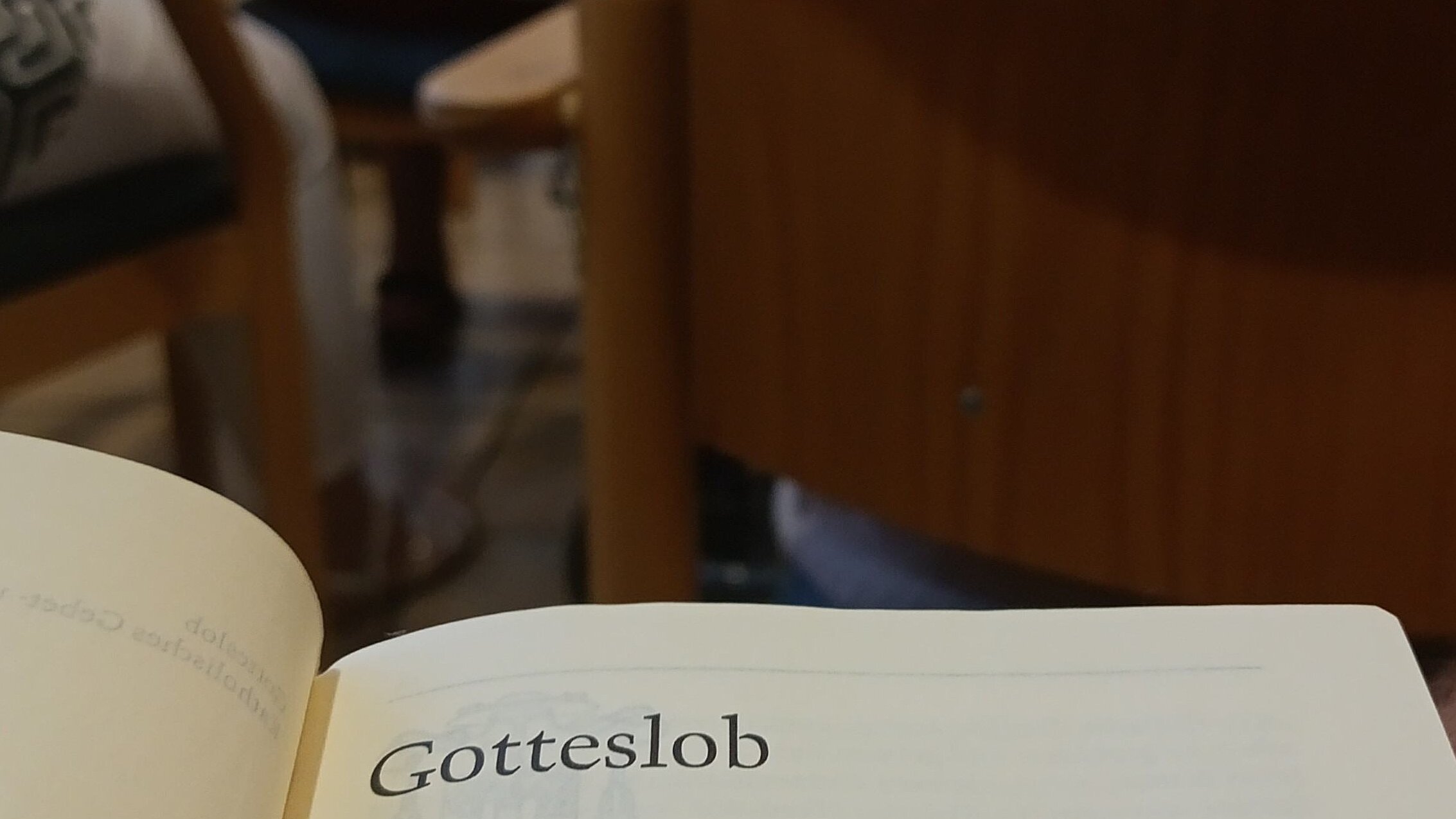 Stühle bei einer katholischen Messe von hinten. Darauf sitzen Menschen, keine Gesichter zu sehen. Im Vordergrund ein Buch: Gotteslob, katholisches Gebets- und Gesangbuch