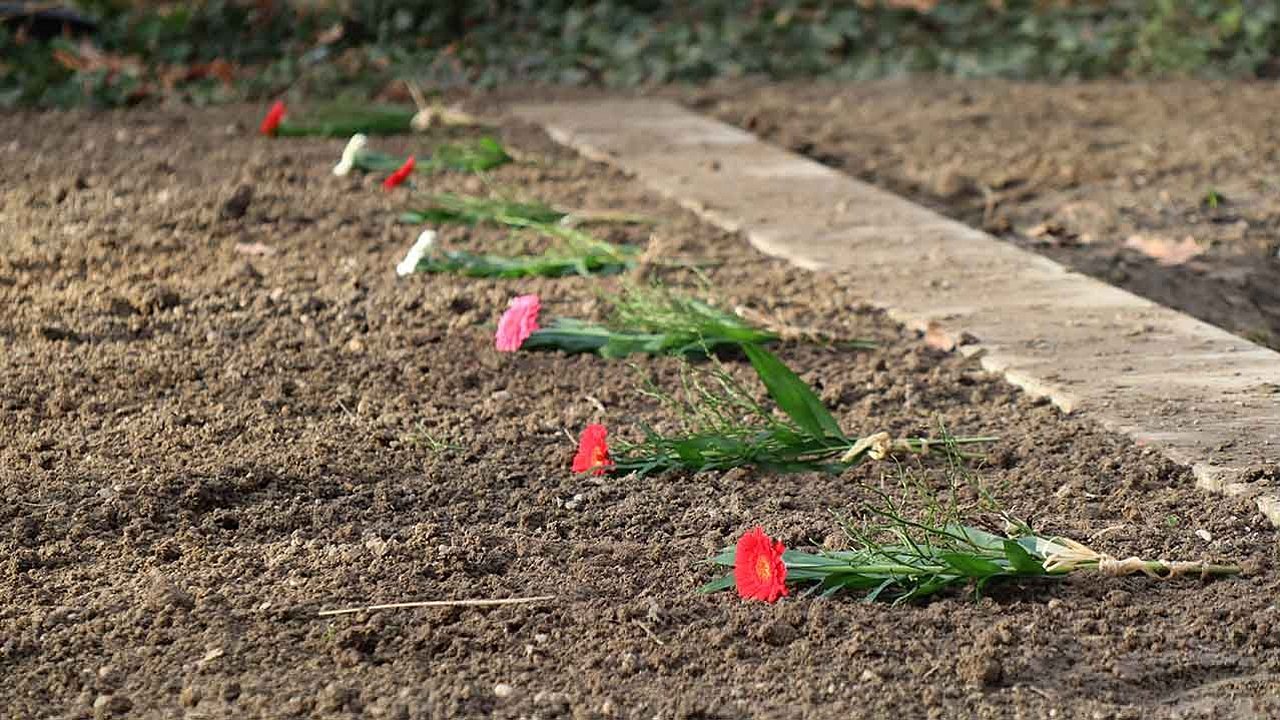 Blumen liegen auf nackten Gräbern