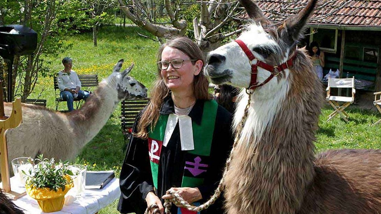 Gottesdienst mit Lamas