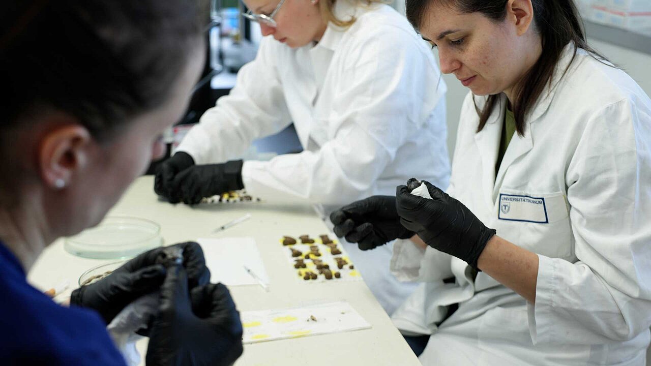 Drei Studierende (Frauen) sitzen um einen Tisch. Sie halten jeweils ein Vogelküken in ihrer Hand und füttern dieses. 