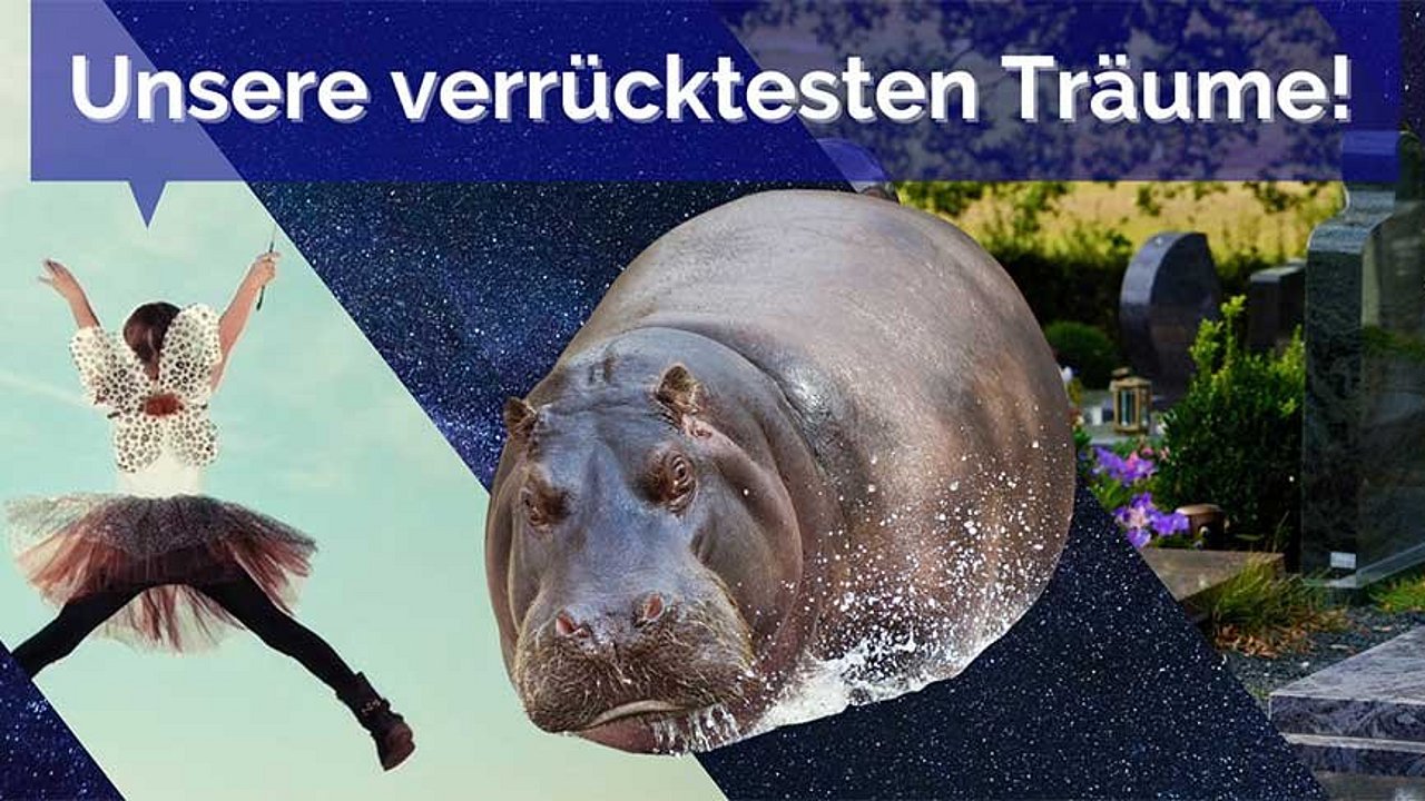 Verrückte Träume aus der Redaktion