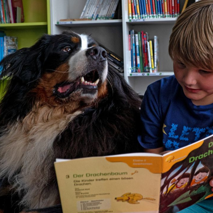 Ein Lesehund hilft Kindern beim Lesen Lernen