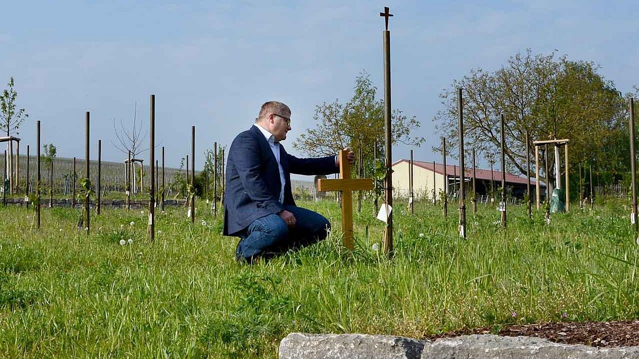 Weinstock mit den Kreuz. Ein Mann kniet davor