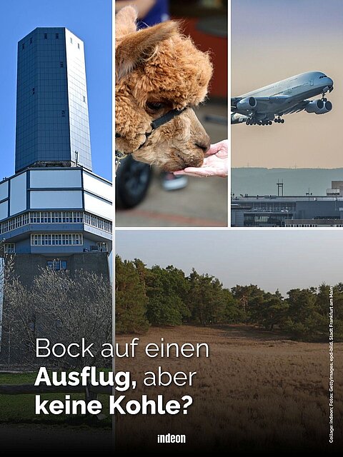 Collage aus Turm, Alpaka, startendem Flugzeug und Dünen mit Text: „Bock auf einen Ausflug, aber keine Kohle?“