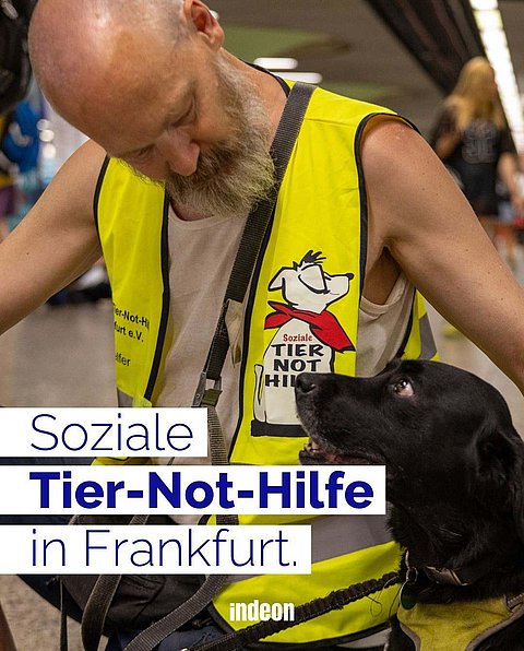 Ein weißer Mann mit Glatze und weißem Vollbart. Er trägt eine gelbe Warnweste der Tier-Not-Hilfe. Bei ihm sitzt sein Hund: ein schwarzer Labrador. Text: "Soziale Tier-Not-Hilfe in Frankfurt"