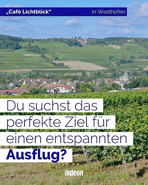 Hinweis auf "Café Lichtblick" in Westhofen vor einer malerischen Landschaft mit Weinbergen und einem Dorf im Hintergrund. Text fragt nach dem perfekten Ziel für einen entspannten Ausflug.