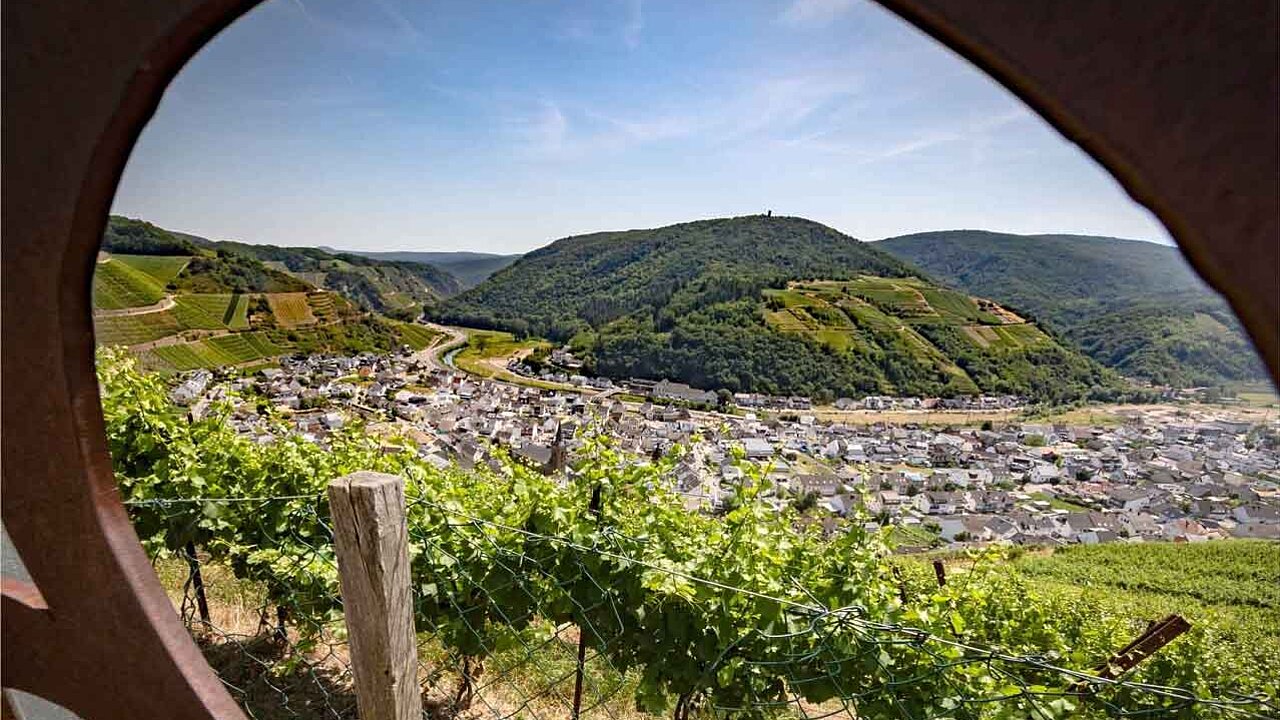Blauer Himmel und das enge Ahrtal, Berge sind übersäht mit Weinbergen