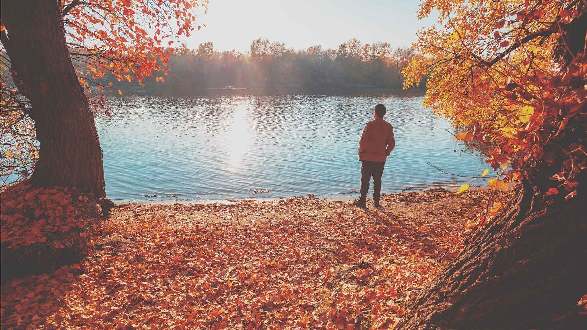 Eine herbstliche Landschaft: ein Mann steht umgeben von Bäumen an einem Seeufer. Die Sonne spiegelt sich auf dem Wasser und die Szene ist in herbstlich-warmes Licht getaucht. Auf dem Boden liegt buntes Laub