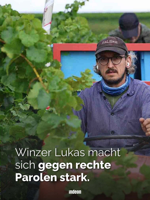 Winzer Lukas bei der Weinlese: Er hat den Wein gegen Rassismus erfunden