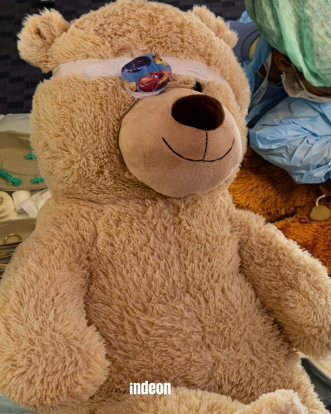 Kinder operieren Kuscheltiere