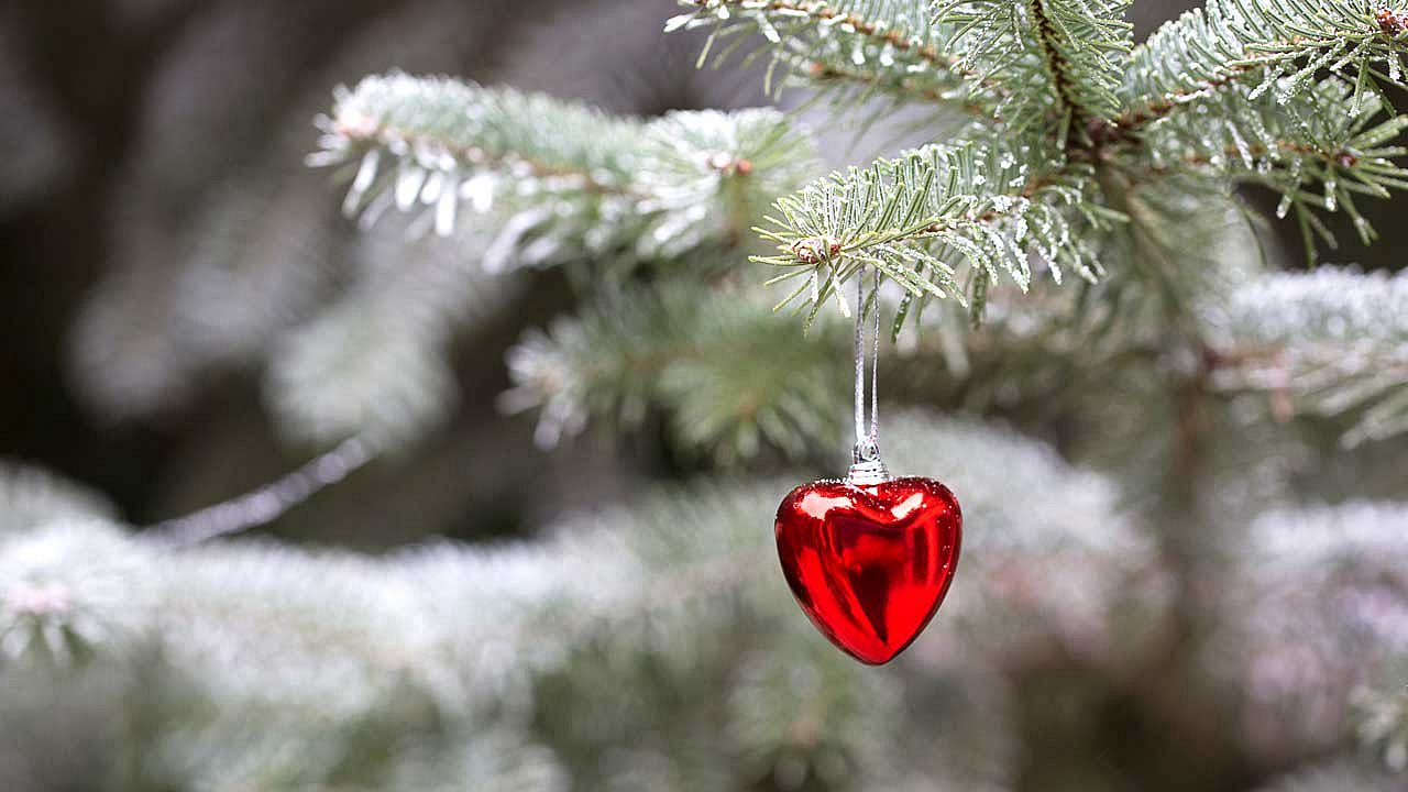 Weihnachten zusammen mit den Liebsten. Das klappt nicht immer.