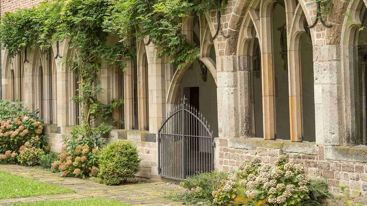 überwucherter Kreuzgang