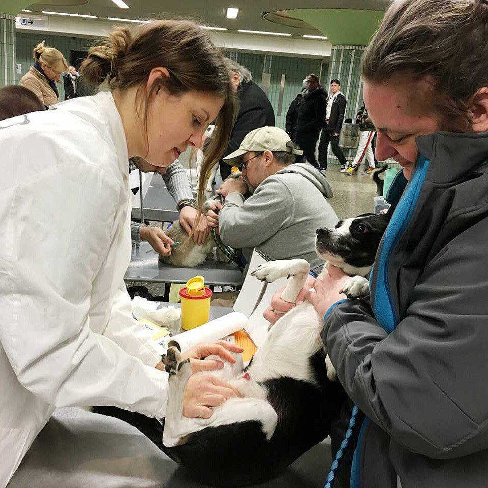 Tierärztin Meike Dewein 