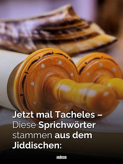 Foto einer Thorarolle und eines Schofars, darüber Text: „Jetzt mal Tacheles – Diese Sprichwörter stammen aus dem Jiddischen:“.