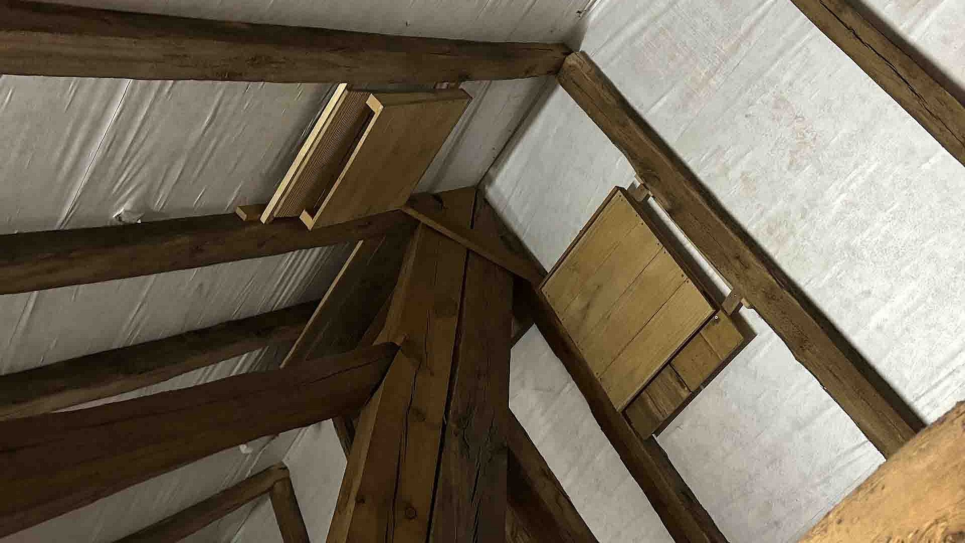 Zwei Fledermauskästen hängen auf dem Dachboden der Kirche Queichhambach