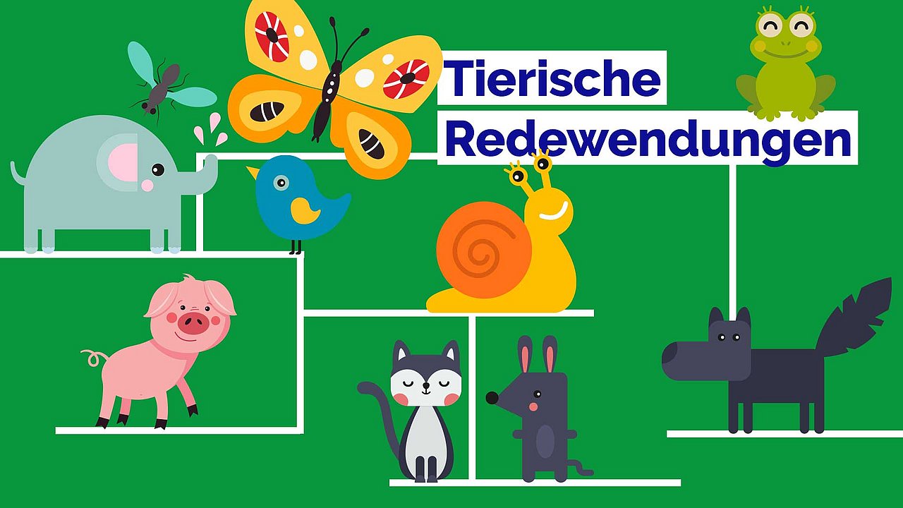 Tierische Redensarten