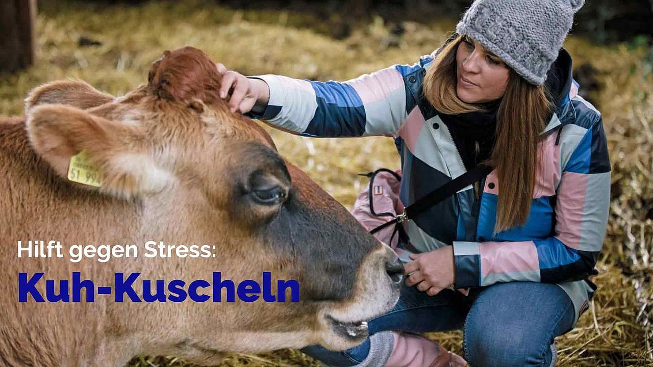 Eine Frau streichelt eine Kuh