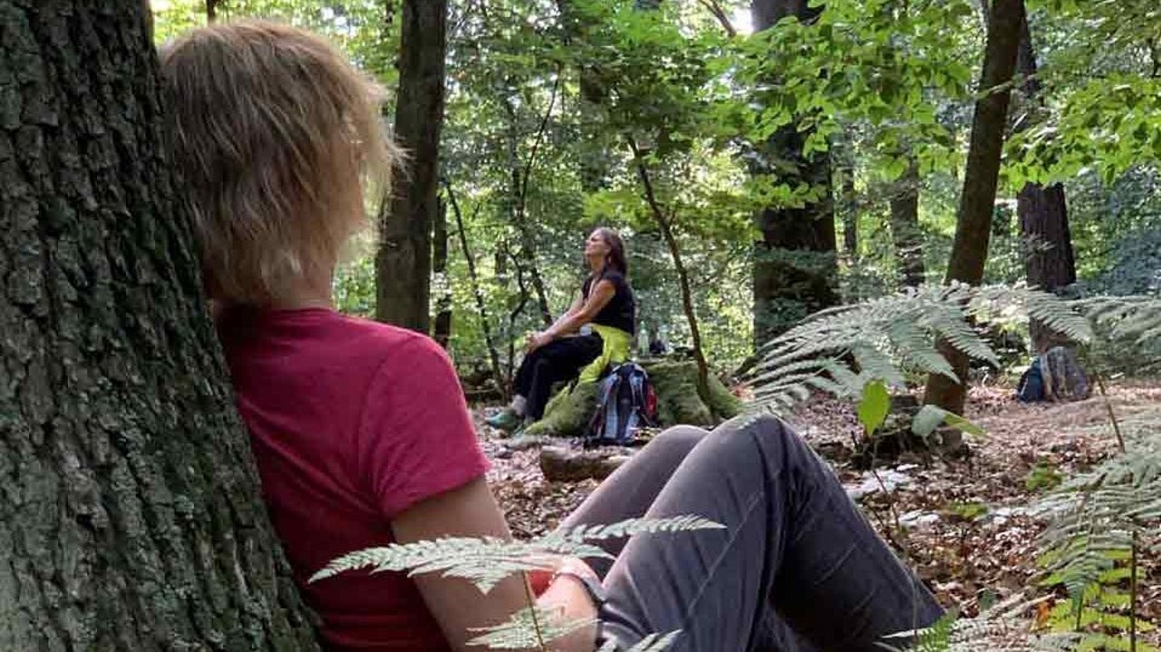 Den Baum im Rücken, die Sonne scheint durch das Blätterdach: „Dem Rauschen lauschen“ heißt die erste Übung beim Waldbaden. 