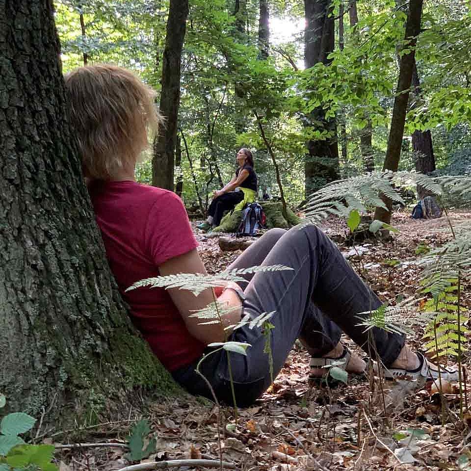 Den Baum im Rücken, die Sonne scheint durch das Blätterdach: „Dem Rauschen lauschen“ heißt die erste Übung beim Waldbaden. 