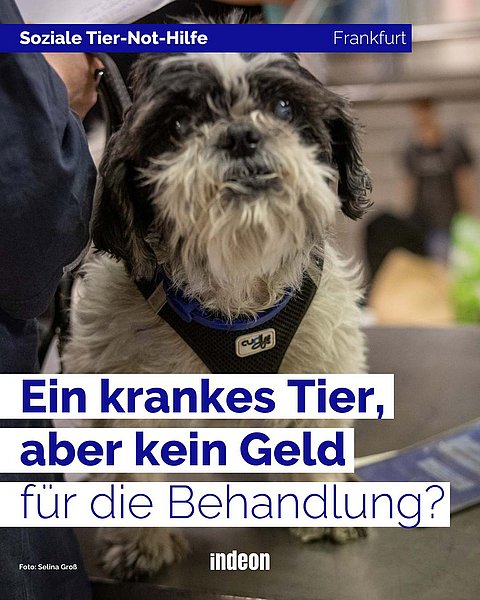 Die Not-Hilfe unterstützt im Notfall.