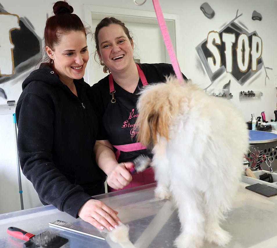 kleiner Hund auf dem Tisch, dahinter die beiden Hundefriseurinnen