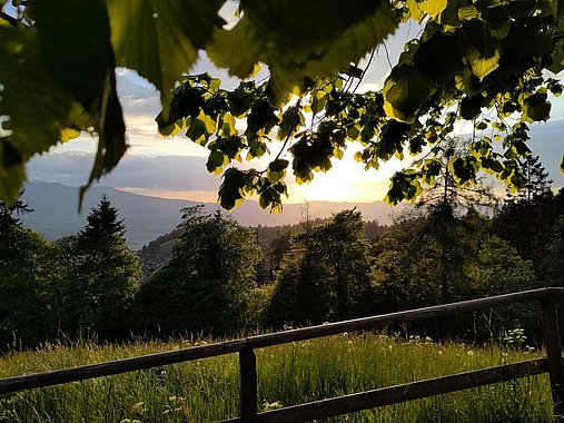 Foto vom Morgenlicht bei einer Nachtwanderung