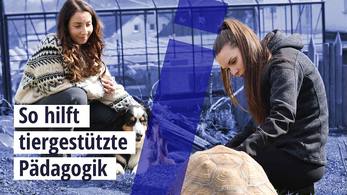 Tiergestützte Therapie: Wie Tiere bei Depressionen helfen