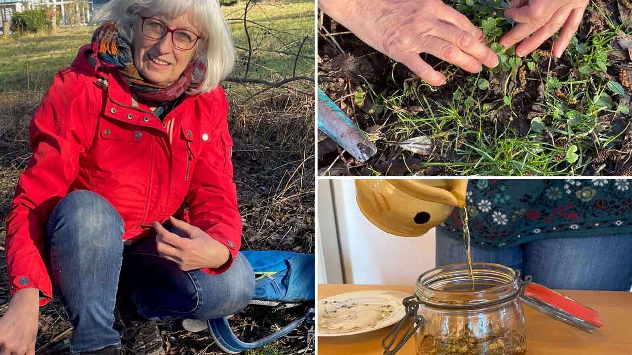 Collage: Frau mit roter Jacke, Kräuter am Boden und verarbeitet im Glas