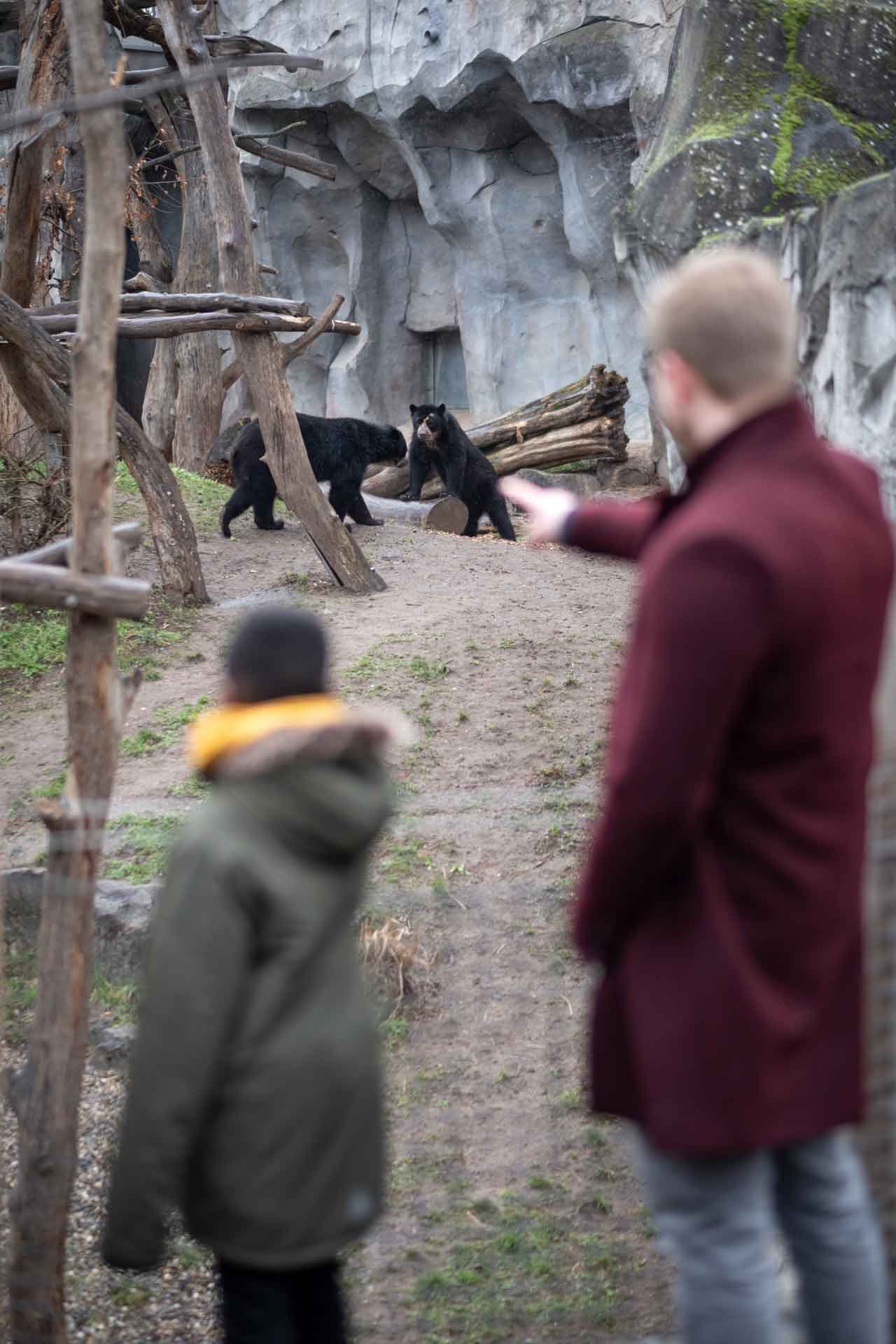 Der 9-jährige Richmond sieht zum ersten Mal einen Bären im Frankfurter Zoo. Sie stehen vor dem Gehege.