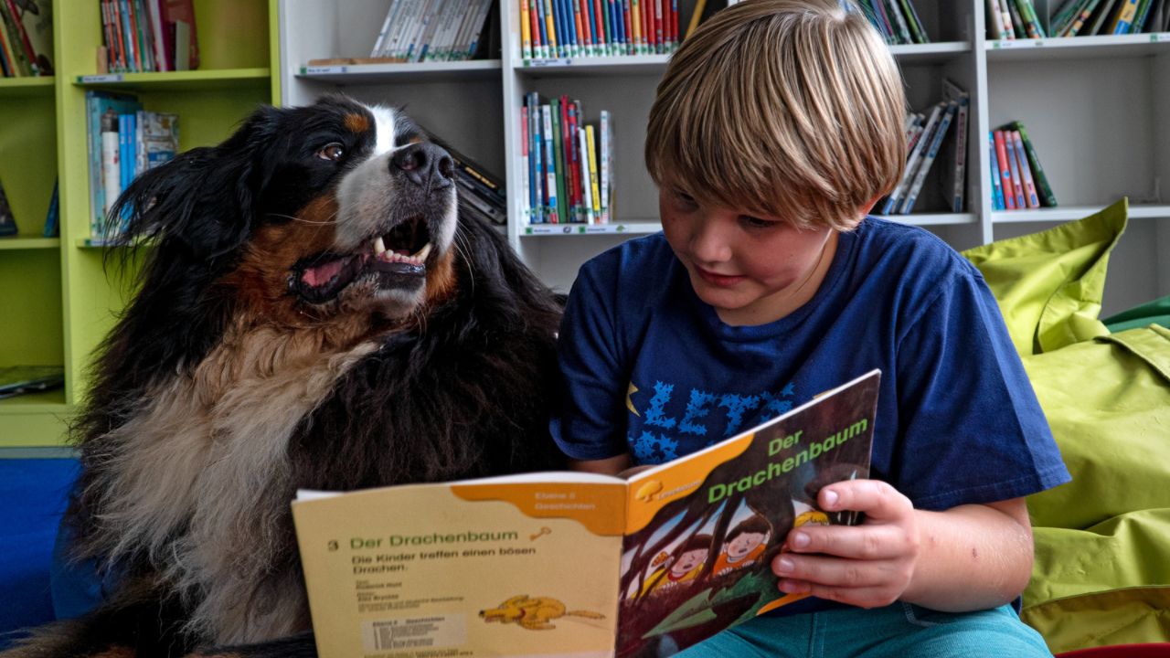 Ein Lesehund hilft Kindern beim Lesen Lernen