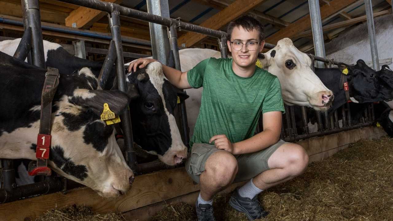 Der Jugendliche Alexander Rischke kniet im Stall auf Heu und streichelt eine Kuh, während er in die Kamera blickt. Die anderen Kühe fressen Heu.