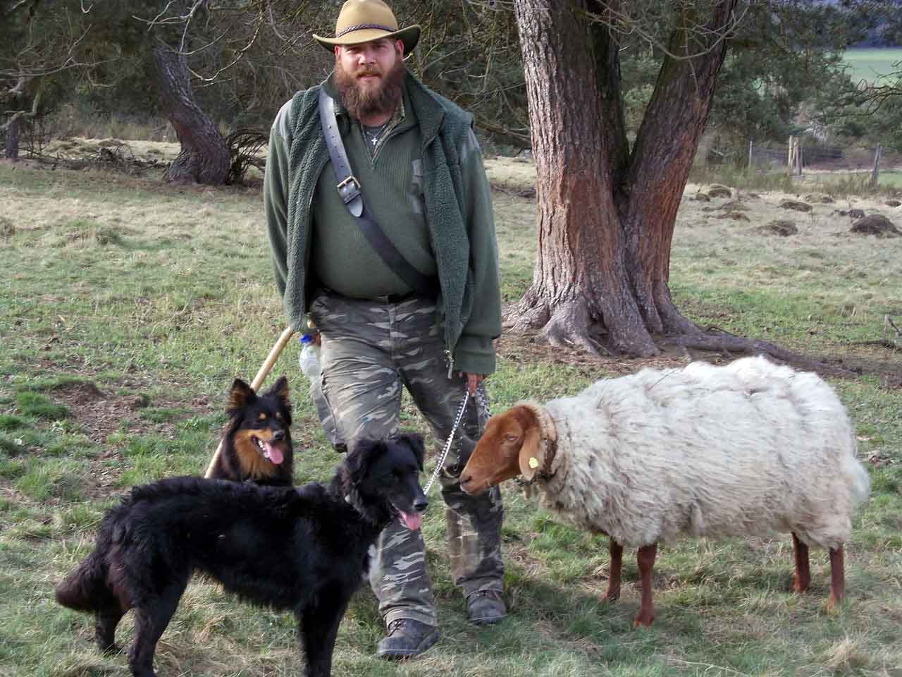 Thorsten Schmale mit seinen Hunden und einem Schaf