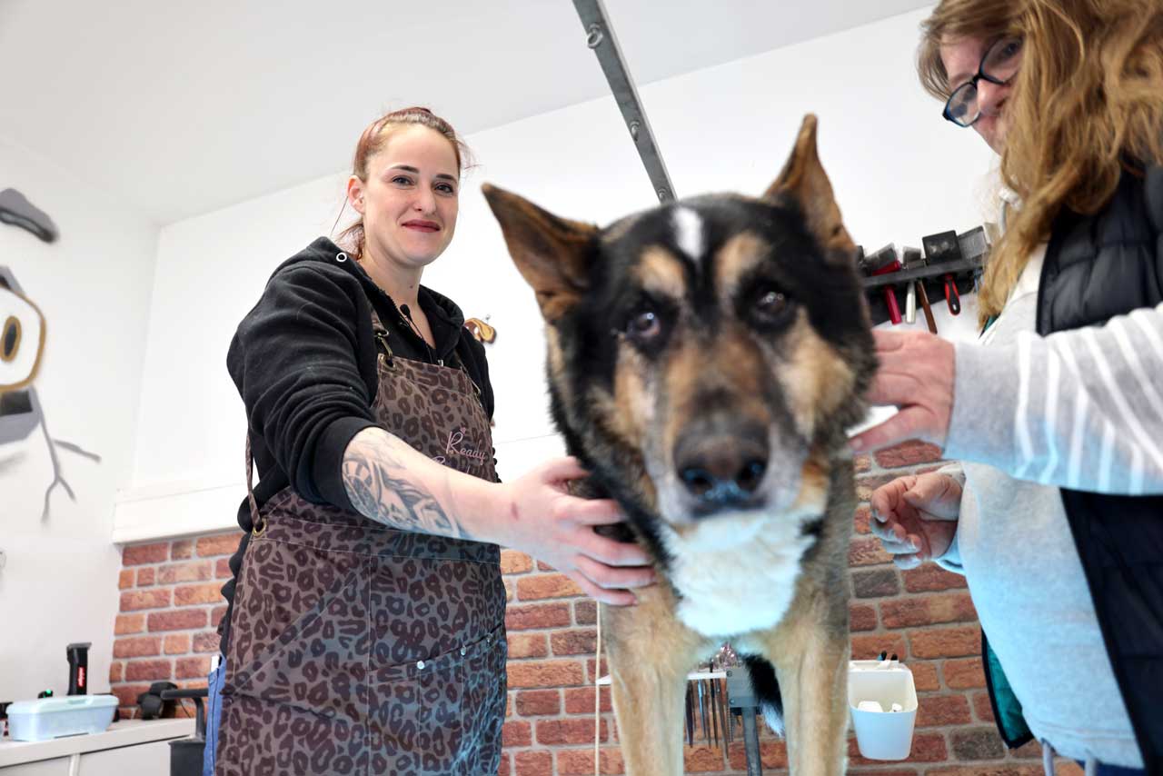 2 Frauen halten einen Hund, der zwischen den beiden auf einem Tisch steht