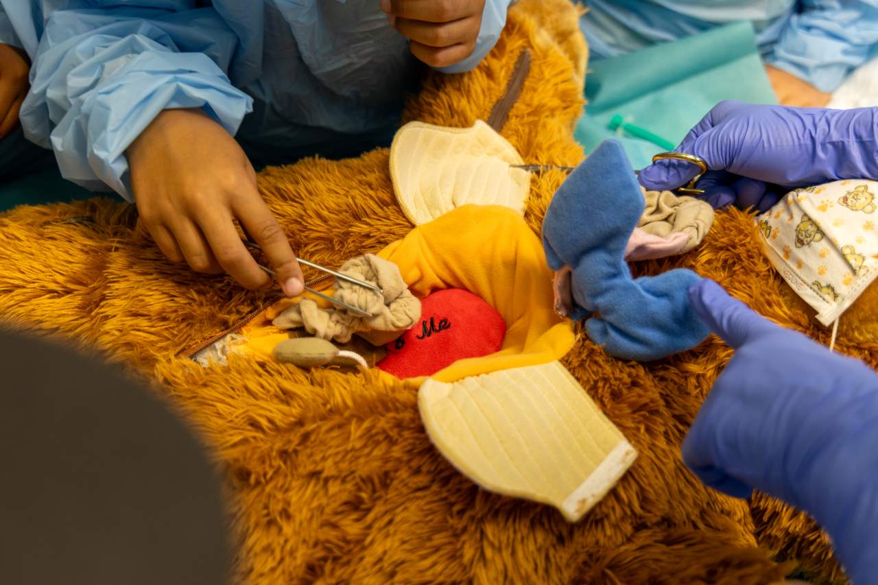 Kindergartenkinder lernen an einem Plüschteddy, welche Organe wir im Körper haben