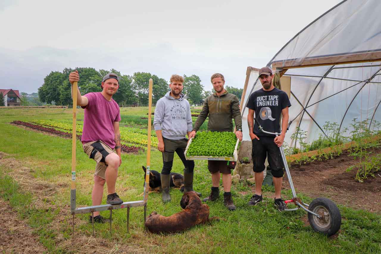 Die vier Freunde auf dem Feld