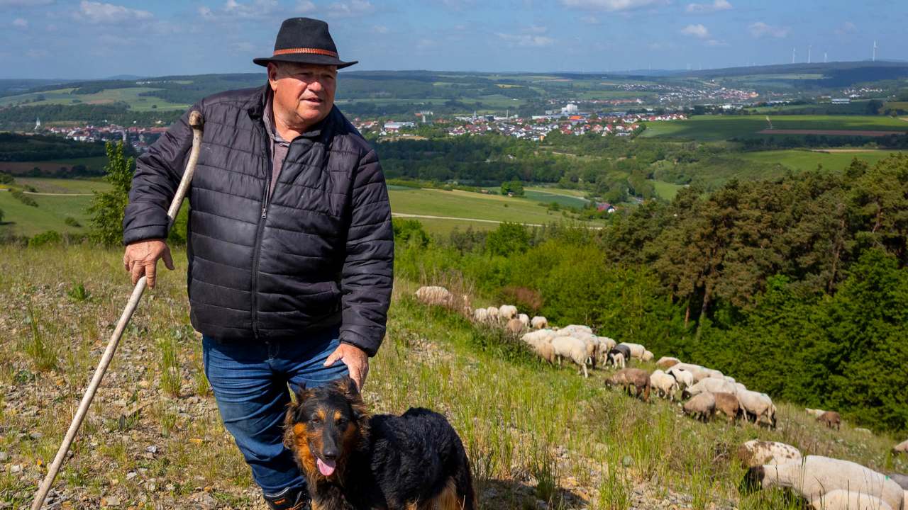 Elmar Spieß mit Hund und Schafen