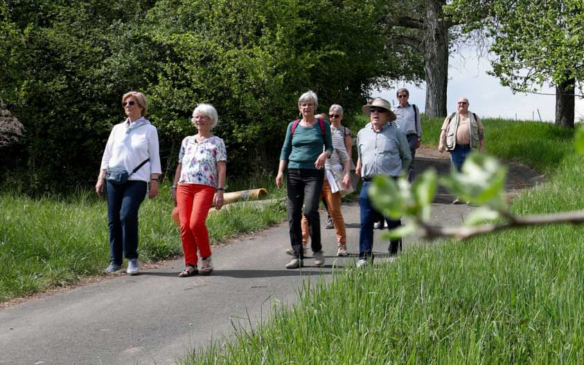 Gruppe von 7 Menschen, die einen Hügel hinabgehen