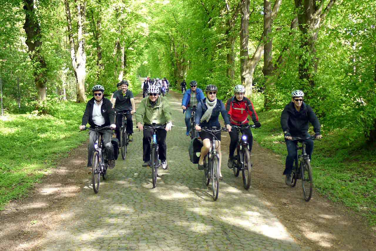 Radweg auf dem historischen Kopfsteinpflaster der Linden-Allee bei Hattersheim