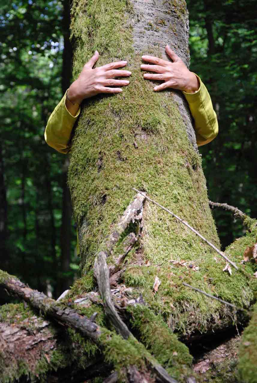 Der Baum und ich: Auch einen Baum zu umarmen, kann Teil des Waldbadens sein. 