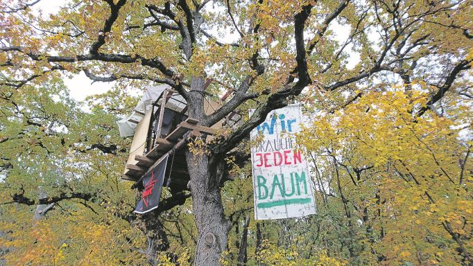 Aktivist:innen gegen Rodung im Riederwald