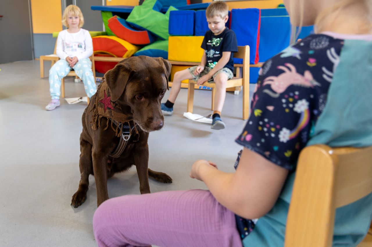 Labrador Samu übt mit Kindern Befehle geben