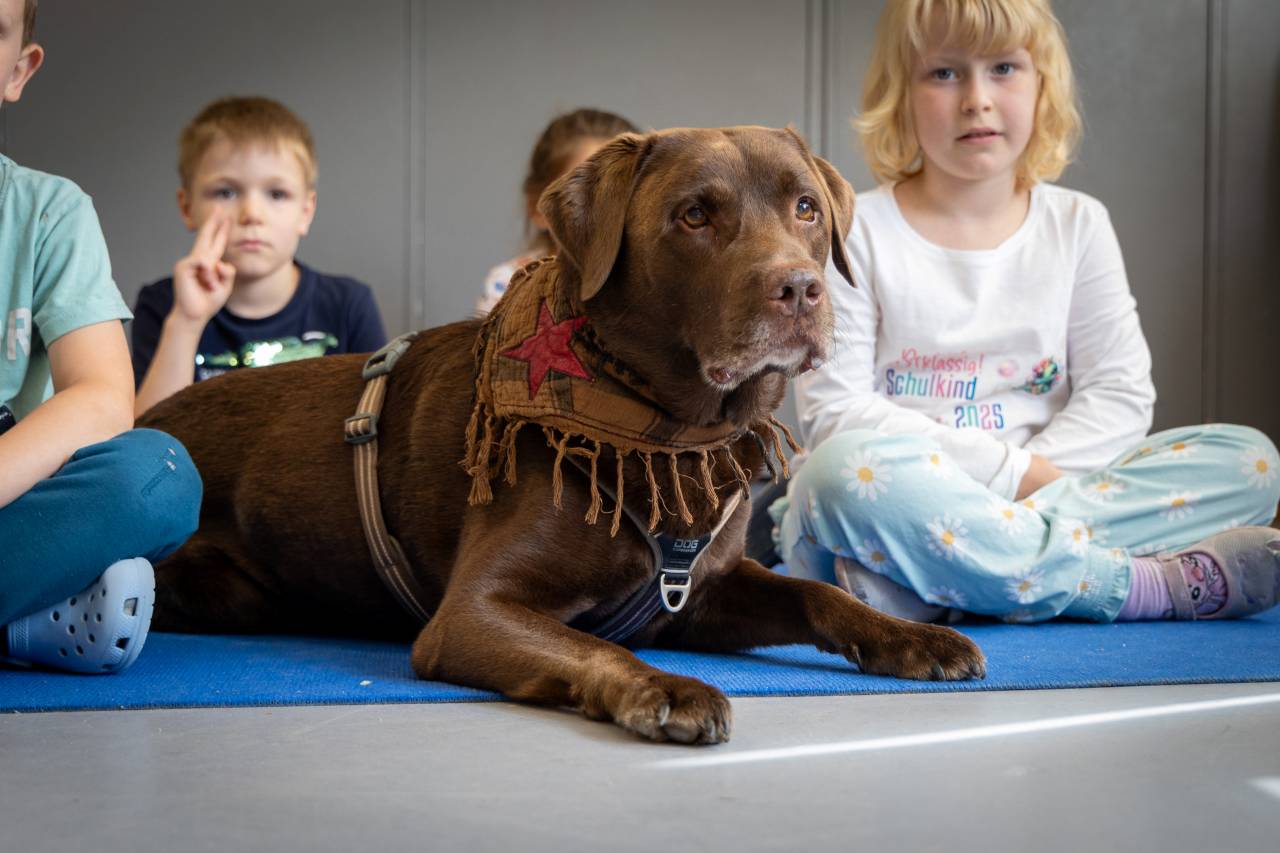 Ein Labrador liegt in einer Turnhalle auf einer Matte, um ihn herum sitzen 4 Kindergartenkinder
