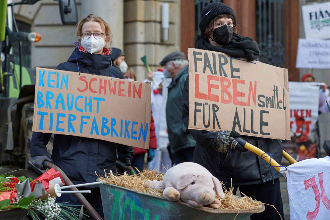 Menschen demonstrieren und halten Schilder hoch. Darauf steht "Kein Schwein braucht Tierfabriken" und "Faire Lebensmittel für alle".