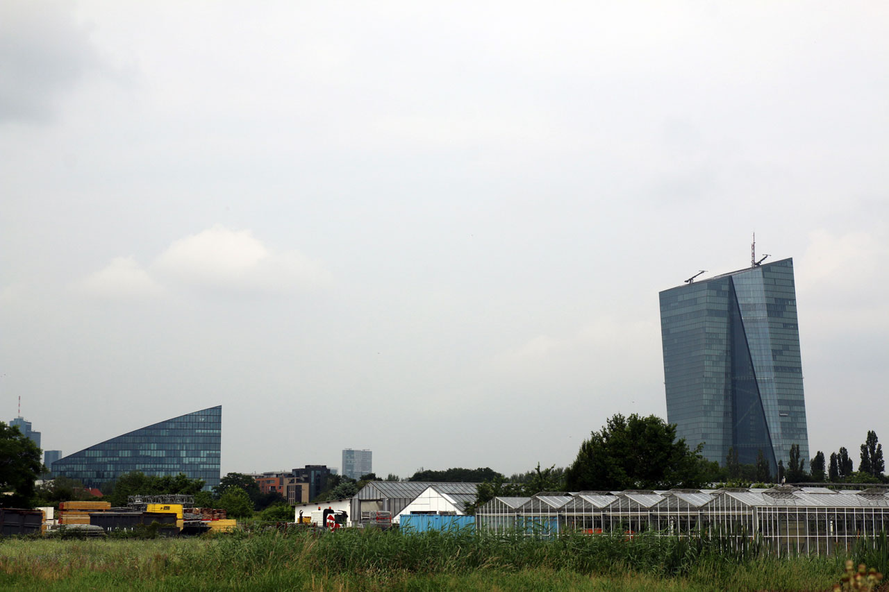 Die Flächen der Frankfurter „Kooperative“ liegen Nahe am Mainufer, mit Blick auf die Europäische Zentralbank.
