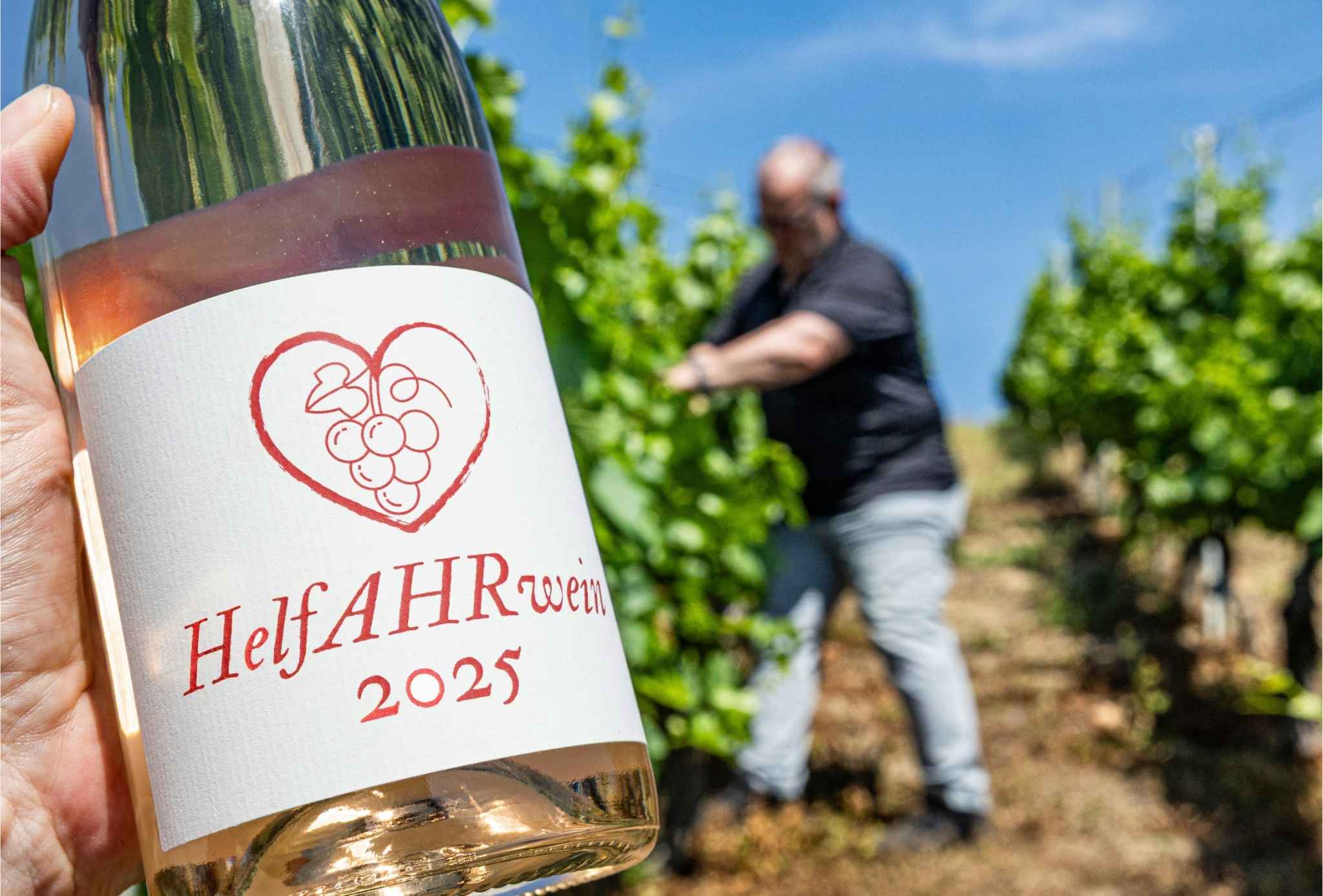 Eine Hand hält eine Weinflasche mit der Aufschrift „HelfAHRwein“ im Hintergrund ein Weinberg und eine verschwommene Person.