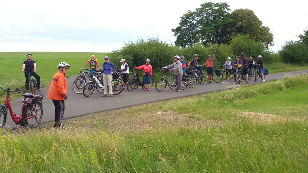 Gruppe von 15 Radfahrern zwischen 2 Wiesen an einer Weggabelung