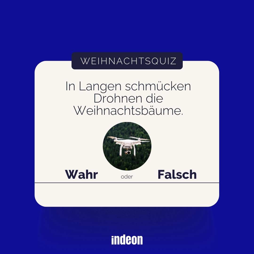 Weihnachtsquiz: Dohnen als Schmückhelfer beim Weihnachtsbaum